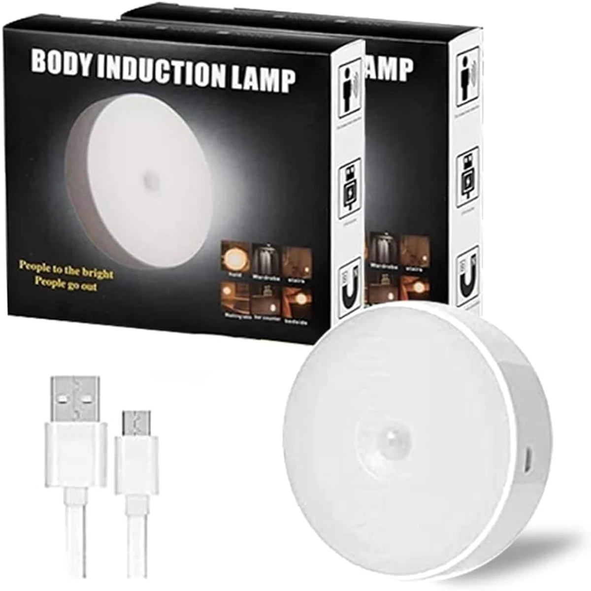 Body Induction Sensor Light