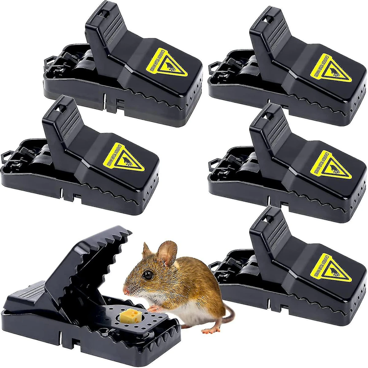 Mouse Trap (1 Paces )